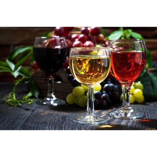 Шкаф винный CASO WineSafe 12 Classic — изображение 4