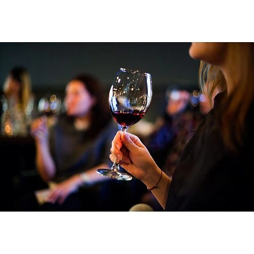 Шкаф винный CASO WineSafe 12 Classic — изображение 3