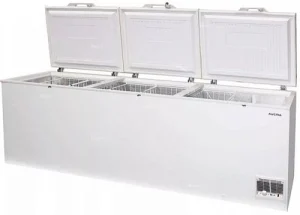Ларь морозильный AUCMA BD-818